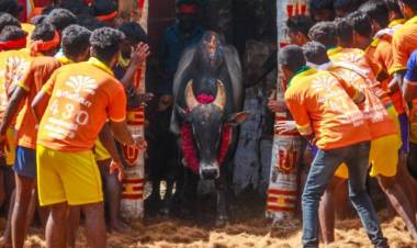 சீறும் புலியில் நடிக்க "தமிழ் வீரர்களுக்கு ஓர் அழைப்பு" 