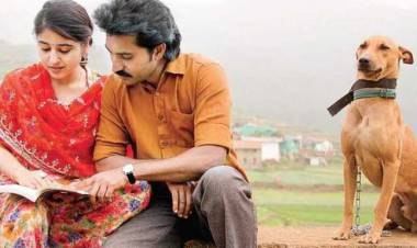 சமுதாய மாற்றத்தை ஏற்படுத்தும் சிறந்த திரைப்படம் "மெஹந்தி சர்க்கஸ்"