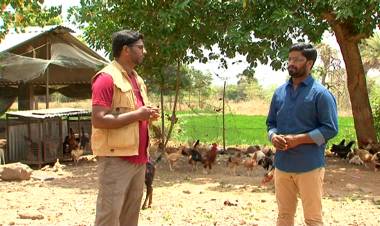 பெப்பர்ஸ் டிவியின் ஆர்கானிக் விவசாயி நிகழ்ச்சி ஞாயிற்றுகிழமை தோறும் ஒளிபரப்பாகிறது