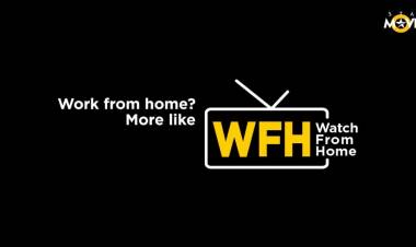 Re-invent WFH on weekends with the biggest Blockbusters only at Star Movies