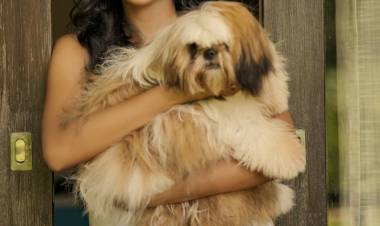 Actress #AradhyaAnn Latest Clicks..   @AradhyaAn