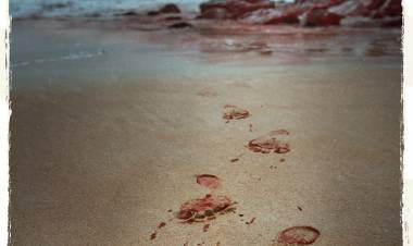 When the tide brings back the dead, the shores bleed red.