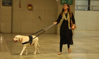 Lady Superstar Nayanthara’s ‘Netrikann’ 