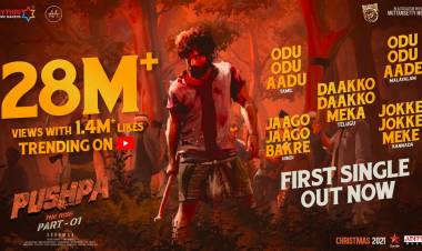 The WILDEST song of the year is on Rage  28M+ Views with 1.4M+ Likes for #PushpaFirstSingle across 5 Languagesn