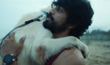 சமீபத்திய காலத்தில் வெளியான சிறந்த தொகுப்புகளில் ஒன்று' என்ற பாராட்டை பெற்றிருக்கும் அமேசான் ஒரிஜினல் தொடர்