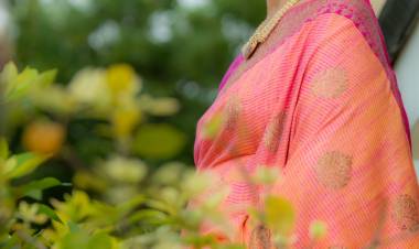 Carnatic vocalist Aruna Sairam selected for French government's top honour Chevalier Award