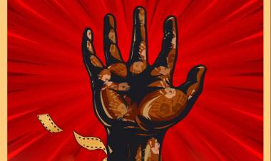 'கலர்ஸ் ஆஃப் கோலிவுட்', எம்ஜிஆர் அரசு திரைப்படக் கல்லூரி மாணவர்களின் ஆவணப்படம் 16வது கேரள சர்வதேச ஆவணப்பட மற்றும் குறும்பட விழாவுக்கு அதிகாரப்பூர்வ தேர்வு