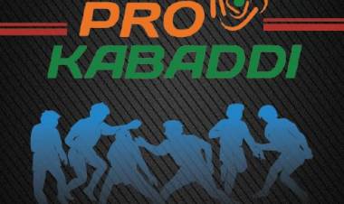 Diverse Brand Categories Power Pro Kabaddi Season 12 on JioStar  