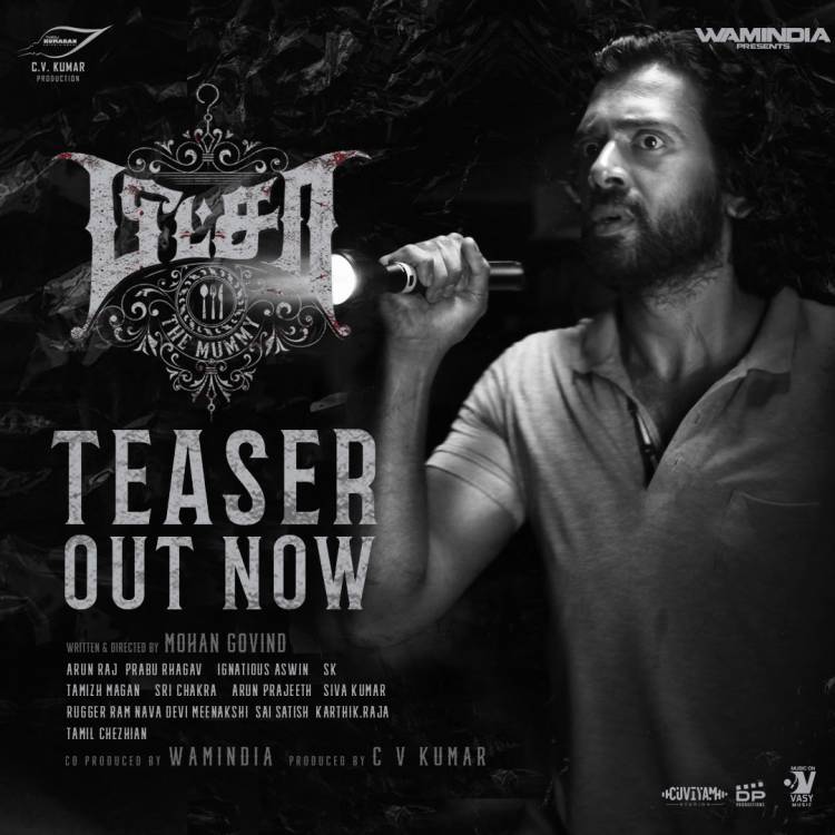 Here is spine chilling teaser of #Pizza3TheMummy on  @vasymusicoffl