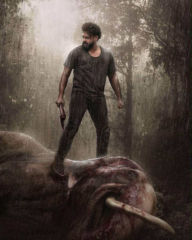 *தமிழ் மற்றும் கன்னடத்தில் டப்பிங் செய்து மனோரமாமேக்ஸ் தளத்தில் ஸ்ட்ரீம் ஆகும் ‘காட்டாளன்’ திரைப்படம்!*